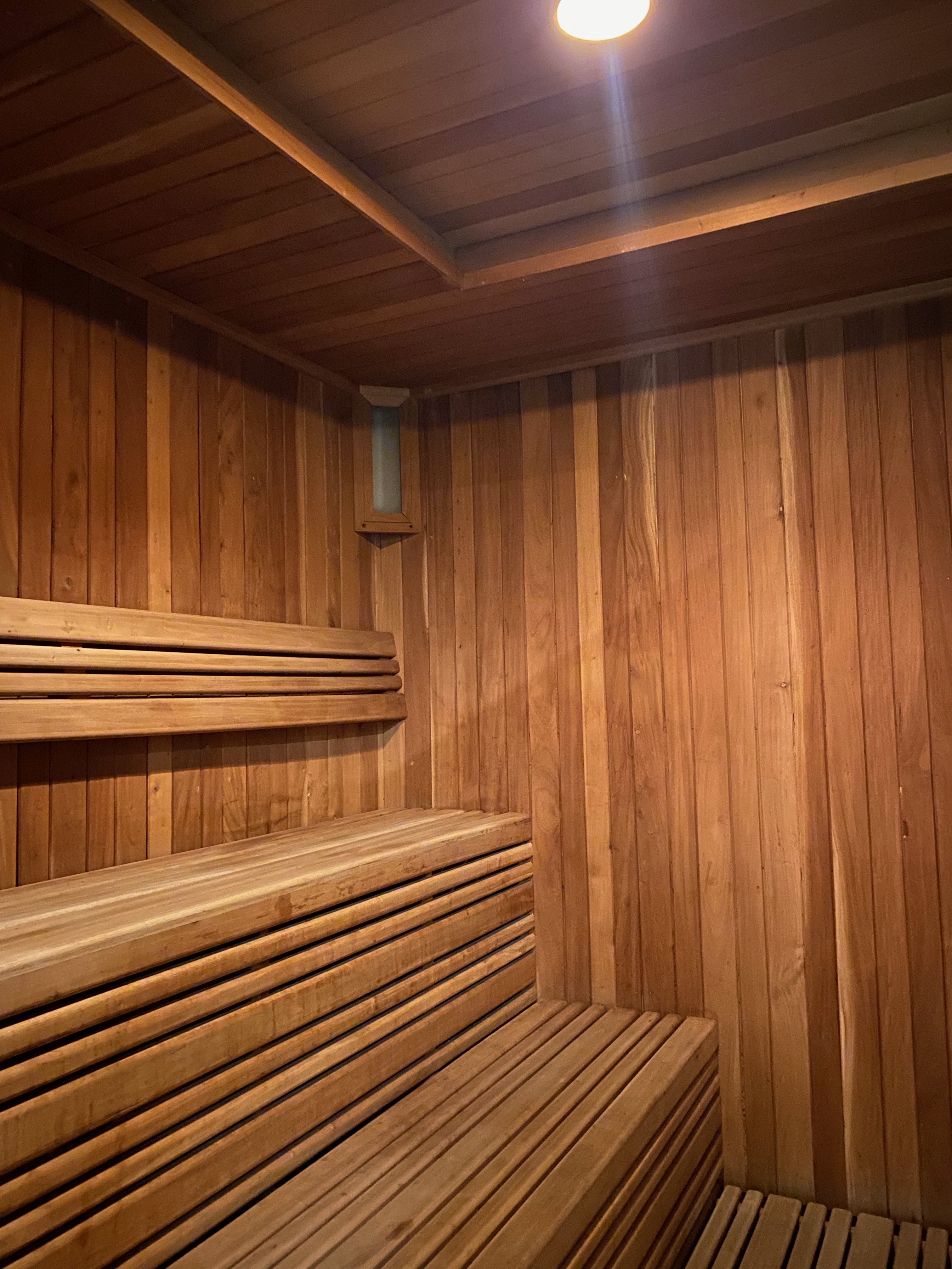 Amenidad Sauna